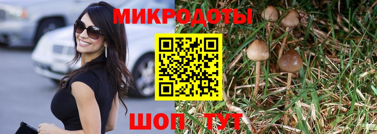 Псилоцибиновые грибы GOLDEN TEACHER Среднеуральск